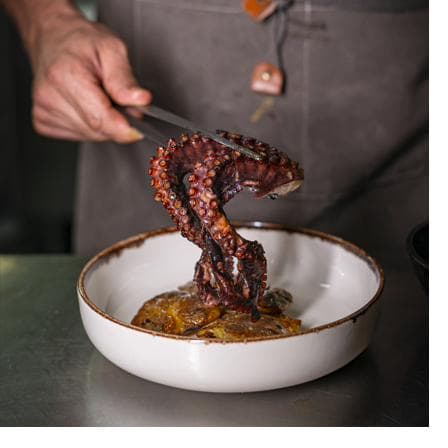 Tentáculo de polvo grelhado no Josper a ser empratado com pinça